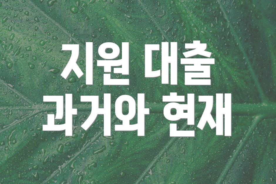 지원 대출 과거와 현재