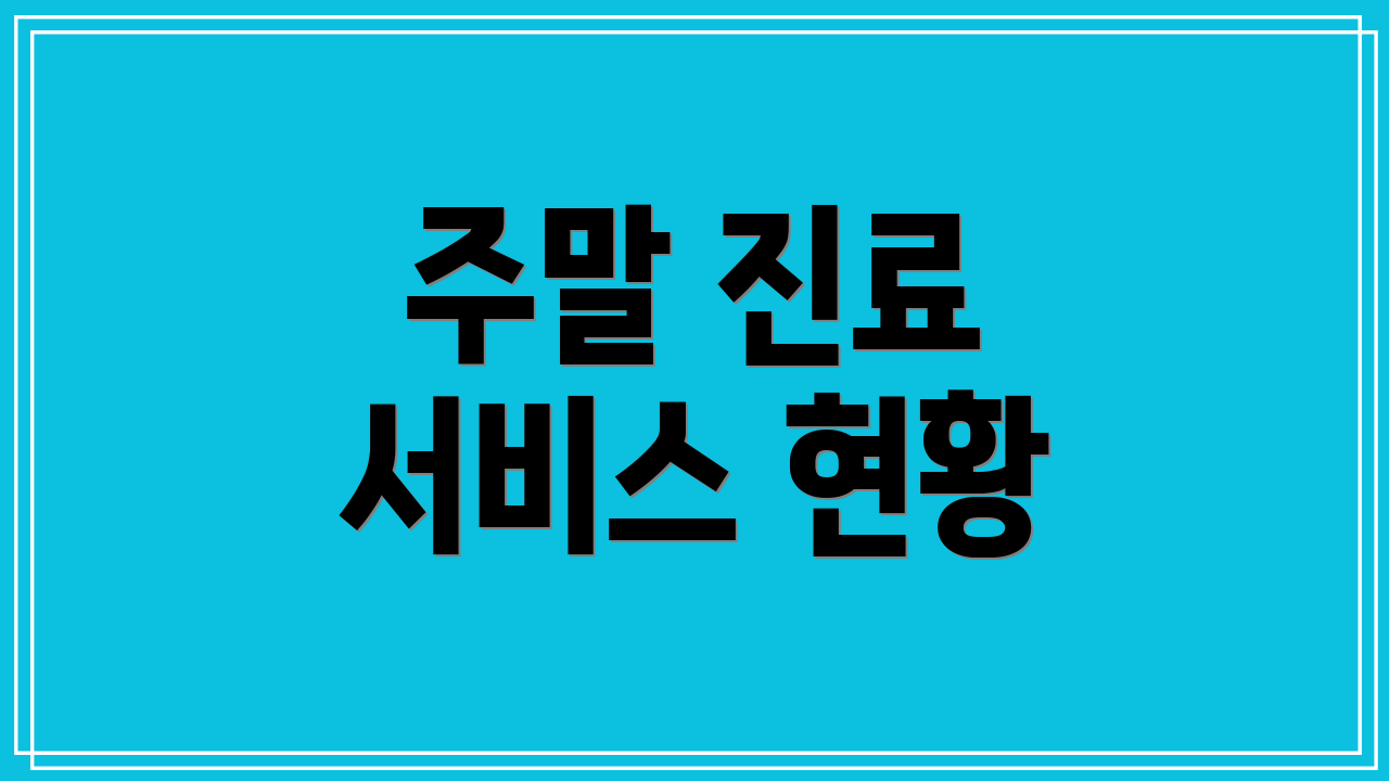 주말 진료 서비스 현황