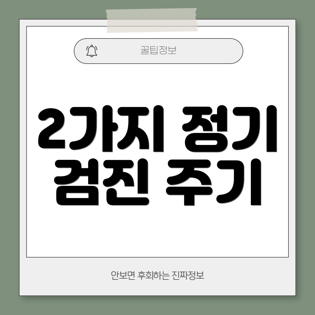 2가지 정기 검진 주기