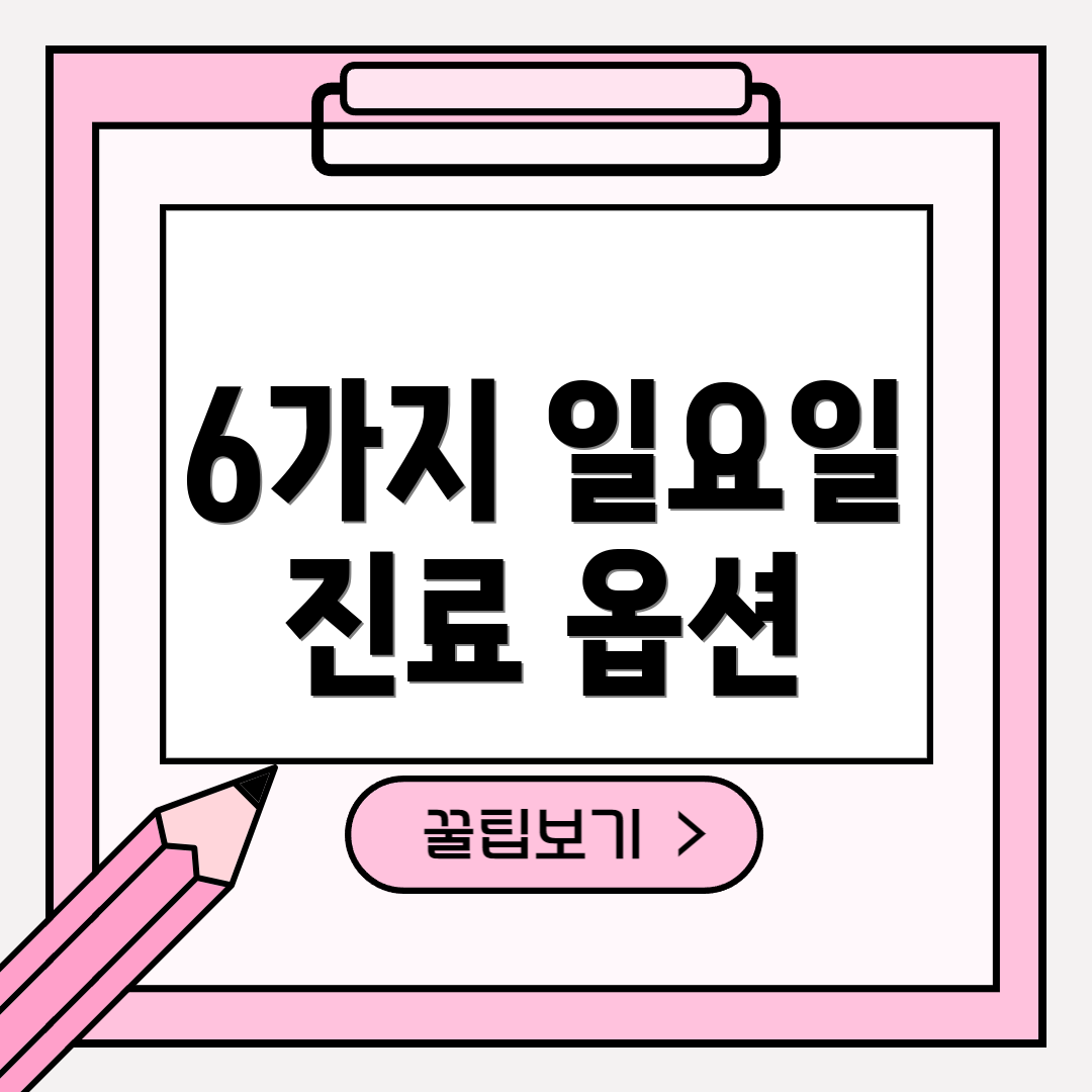 6가지 일요일 진료 옵션