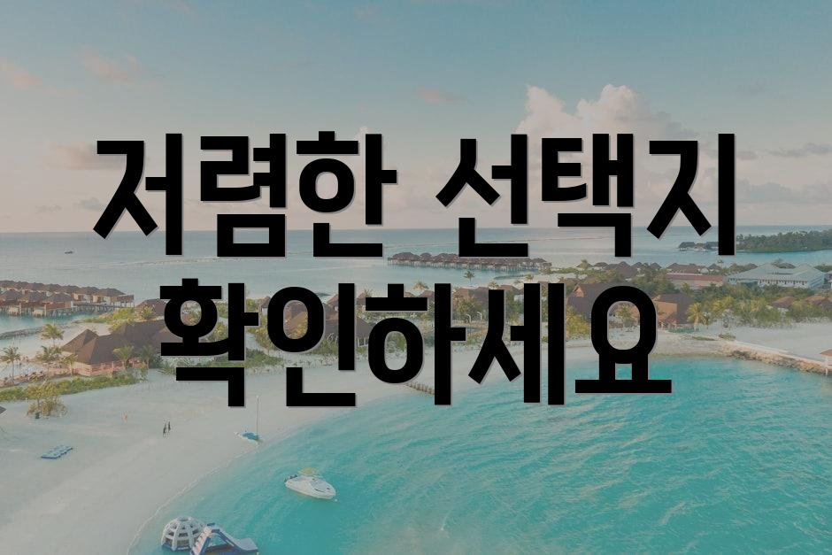 저렴한 선택지 확인하세요