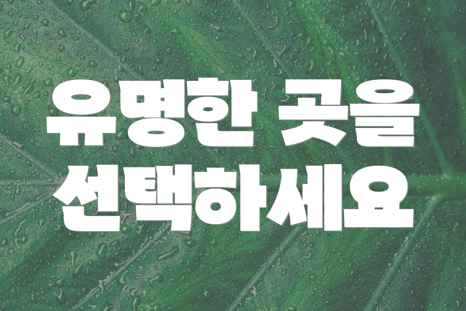 유명한 곳을 선택하세요