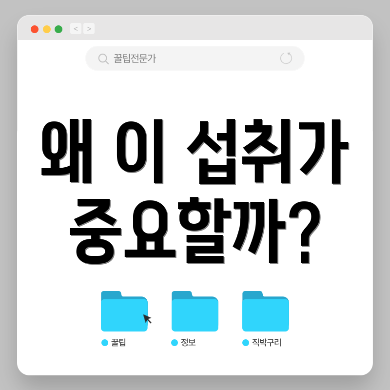 왜 이 섭취가 중요할까?