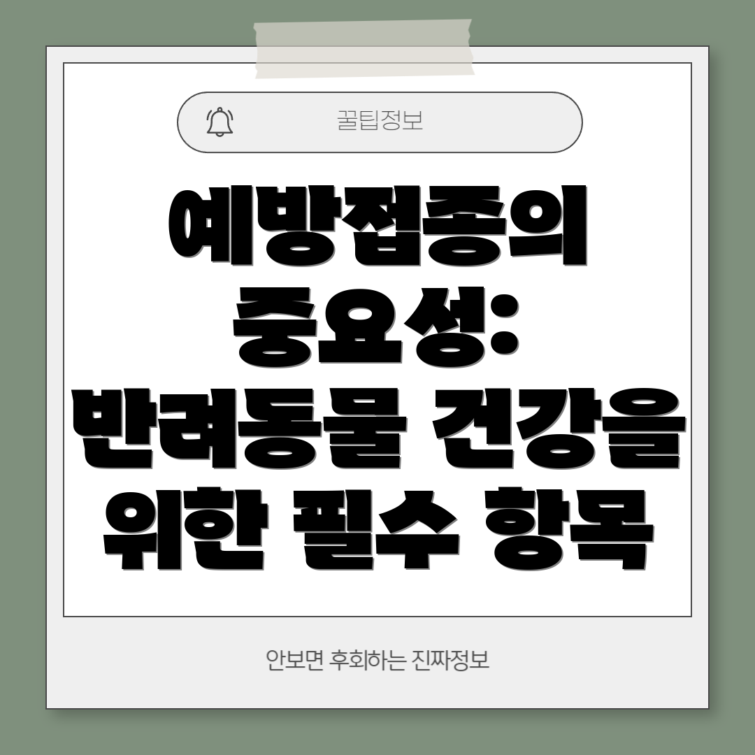 예방접종의 중요성: 반려동물 건강을 위한 필수 항목
