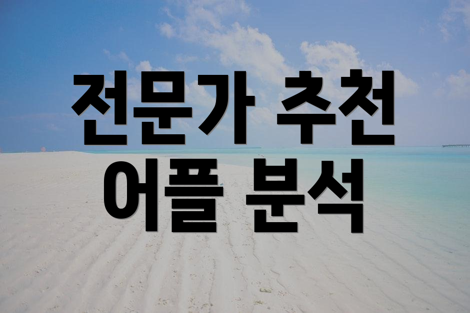 전문가 추천 어플 분석