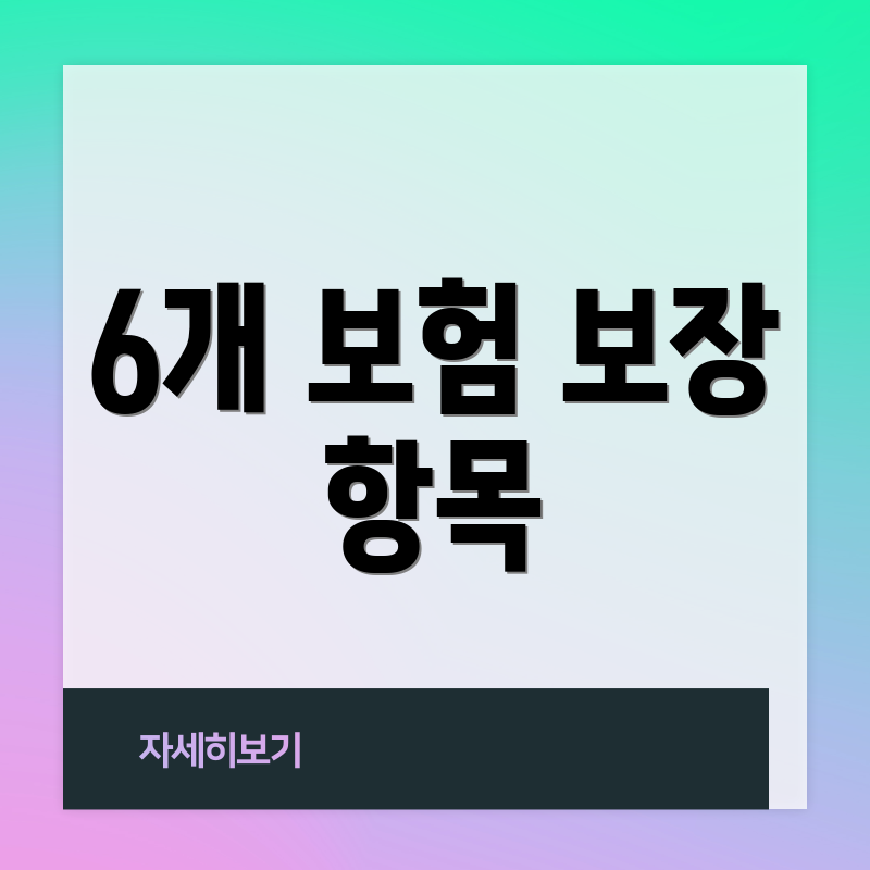 6개 보험 보장 항목