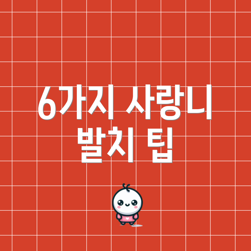 6가지 사랑니 발치 팁