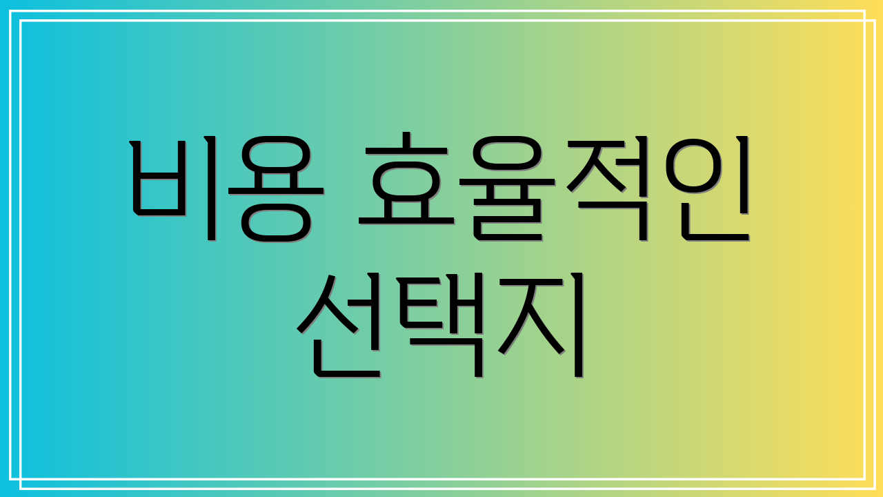 비용 효율적인 선택지