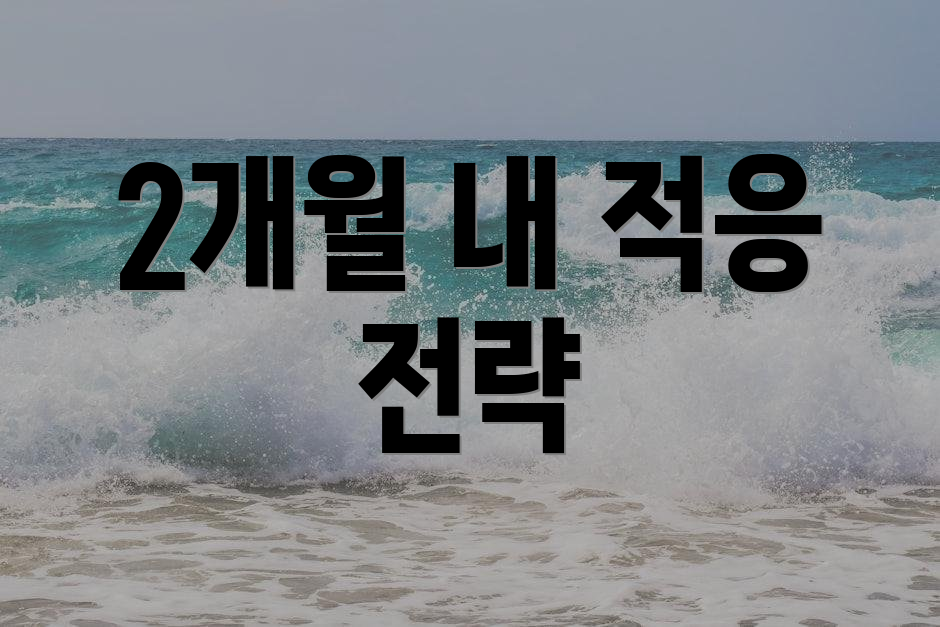 2개월 내 적응 전략