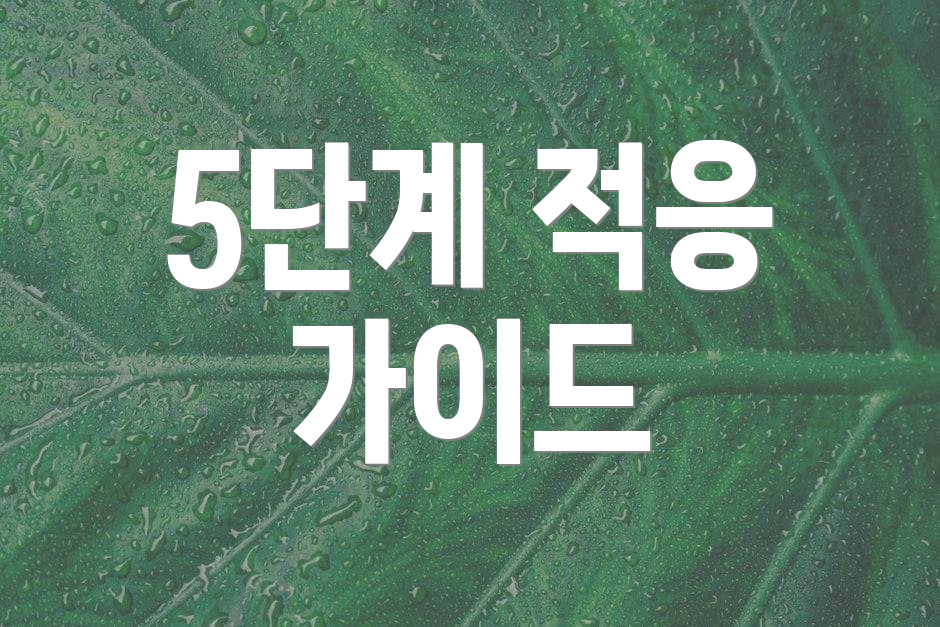 5단계 적응 가이드