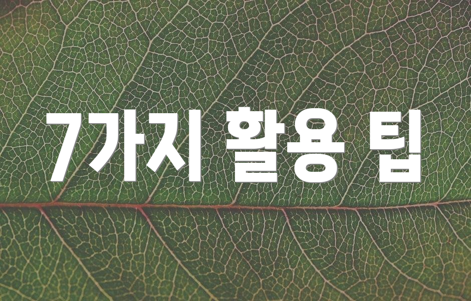 7가지 활용 팁