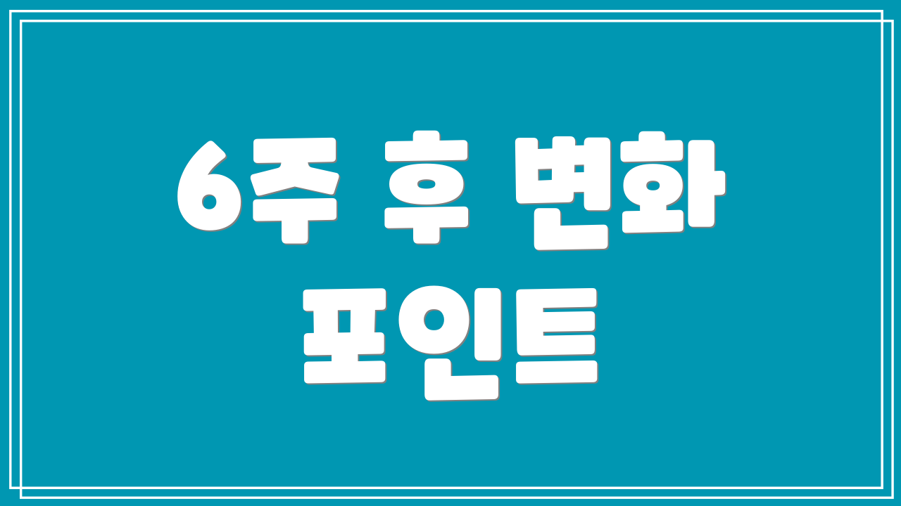 6주 후 변화 포인트