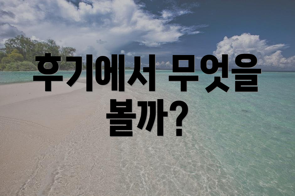 후기에서 무엇을 볼까?