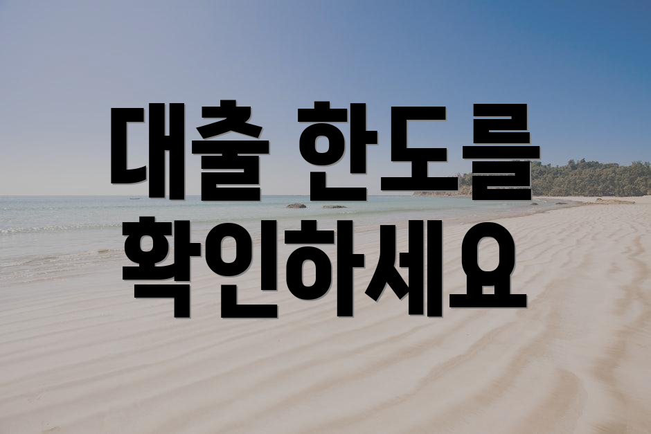 대출 한도를 확인하세요