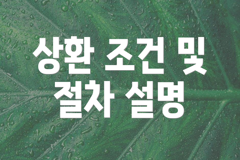 상환 조건 및 절차 설명