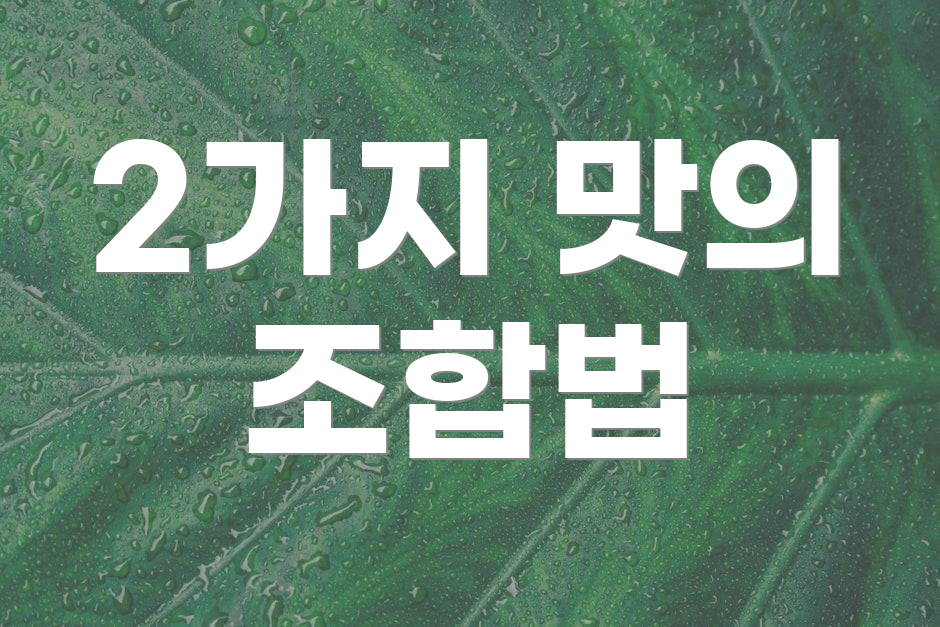 2가지 맛의 조합법