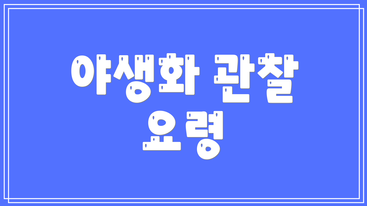 야생화 관찰 요령