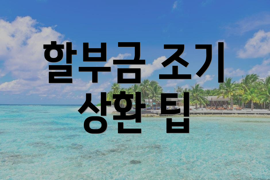할부금 조기 상환 팁