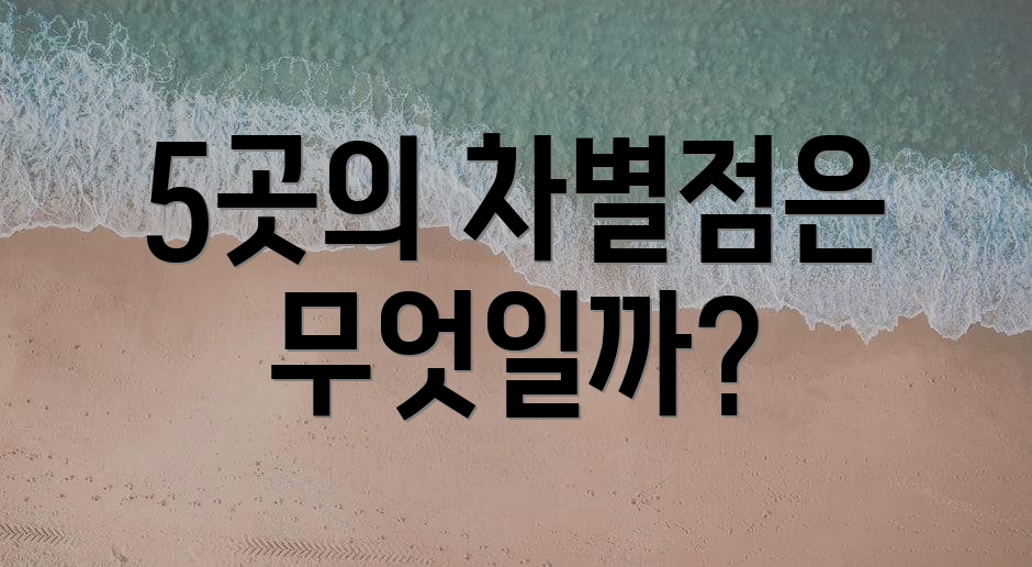 5곳의 차별점은 무엇일까?