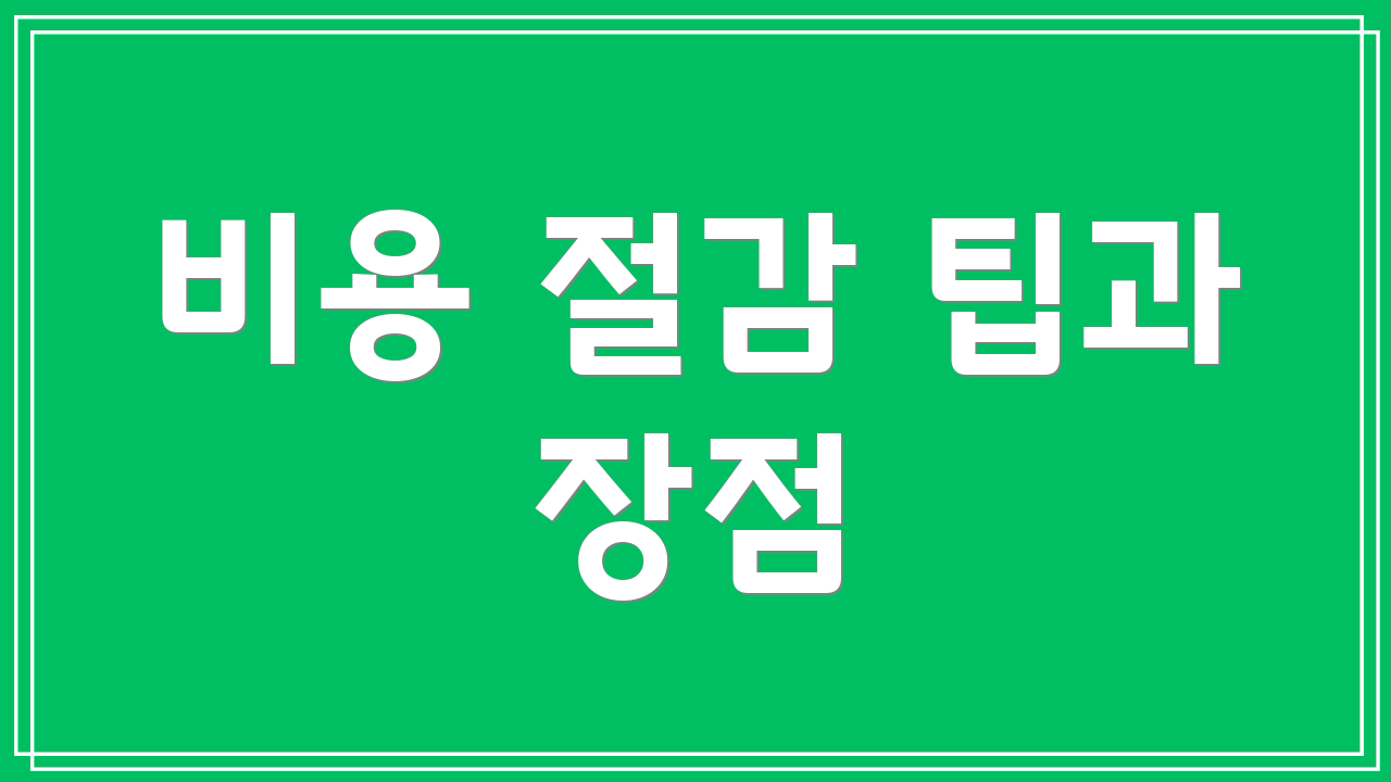 비용 절감 팁과 장점