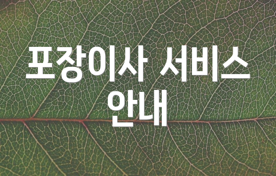 포장이사 서비스 안내