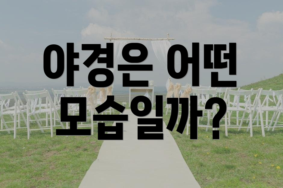 야경은 어떤 모습일까?