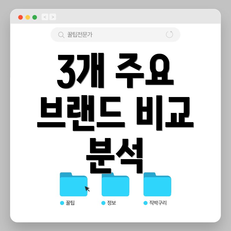 3개 주요 브랜드 비교 분석