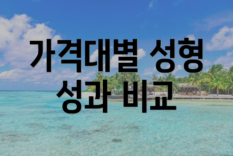 가격대별 성형 성과 비교