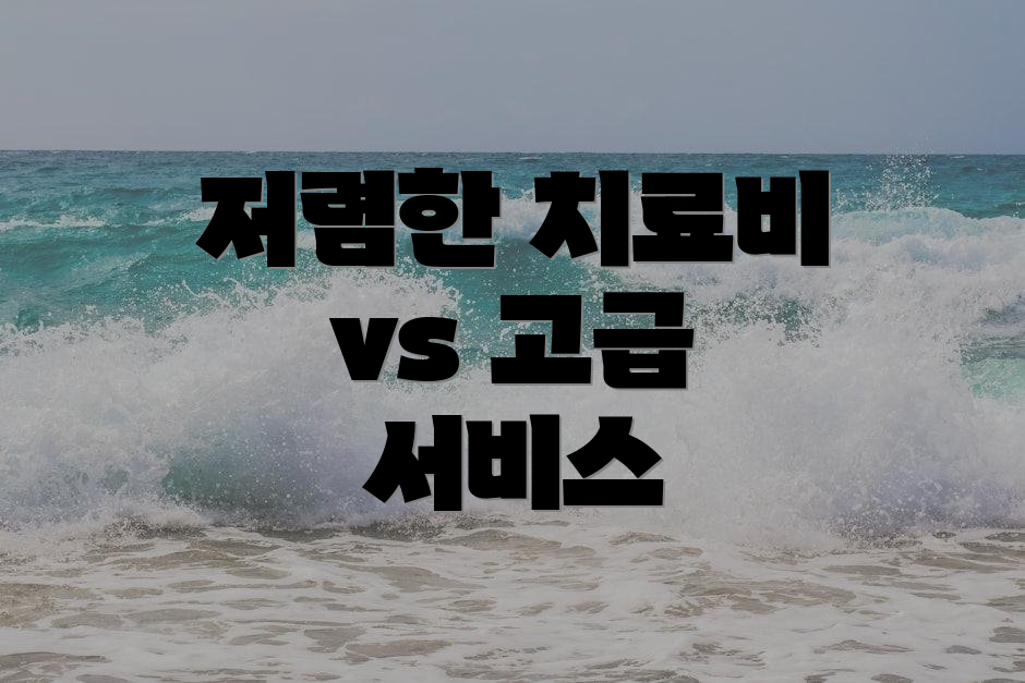 저렴한 치료비 vs 고급 서비스