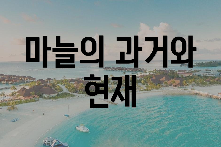 마늘의 과거와 현재