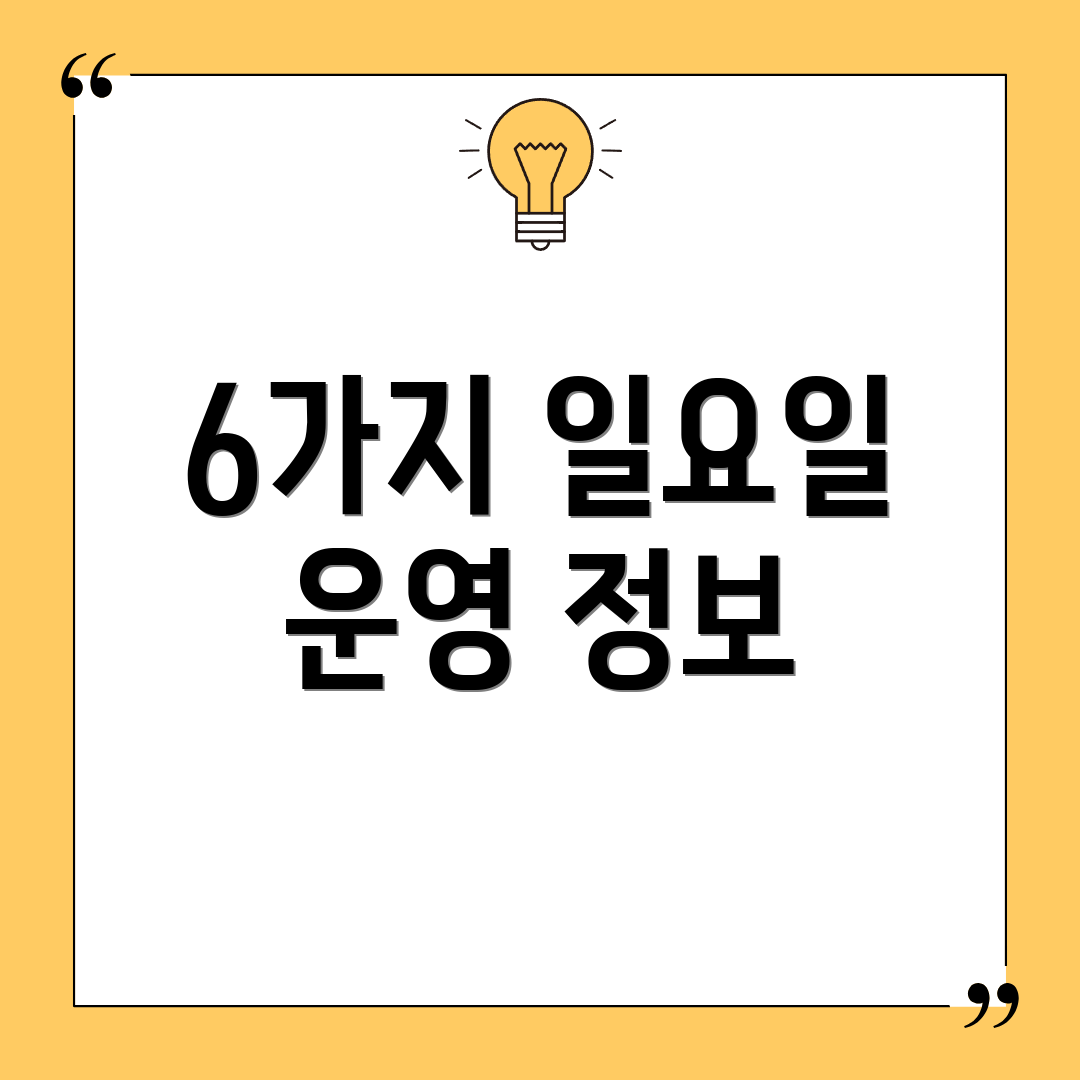 6가지 일요일 운영 정보