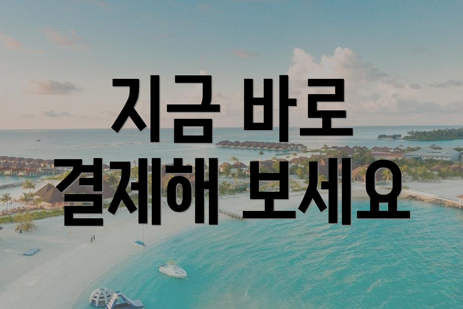 지금 바로 결제해 보세요