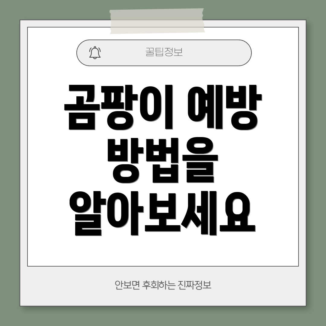 곰팡이 예방 방법을 알아보세요