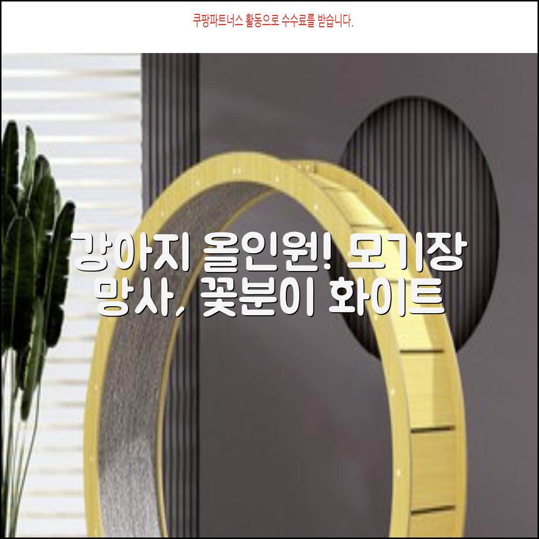 바이굄 강아지 해충 모기장 꽃분이 망사 올인원, 화이트, 1개 추천 리뷰