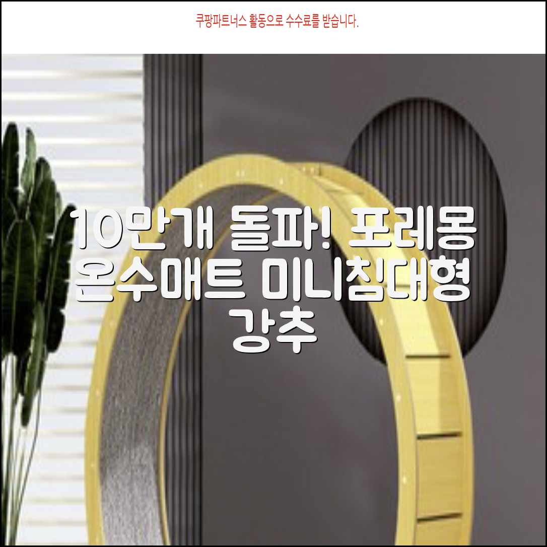[10만개 판매돌파] 포레몽 온수매트 침대형 BTM-501S, 미니(800x1800mm) 추천 리뷰